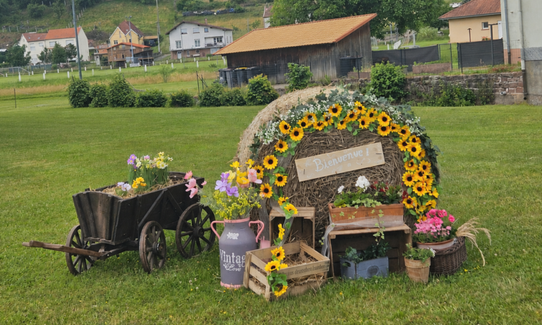 L’été s’installe dans le village 🌼